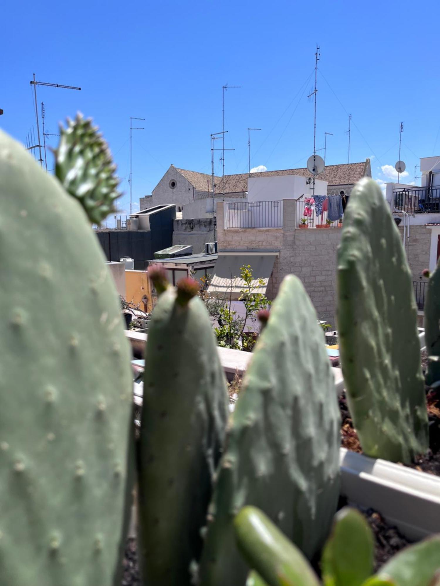 Vila Casa Franca - Terracielo A Bari Vecchia Exteriér fotografie