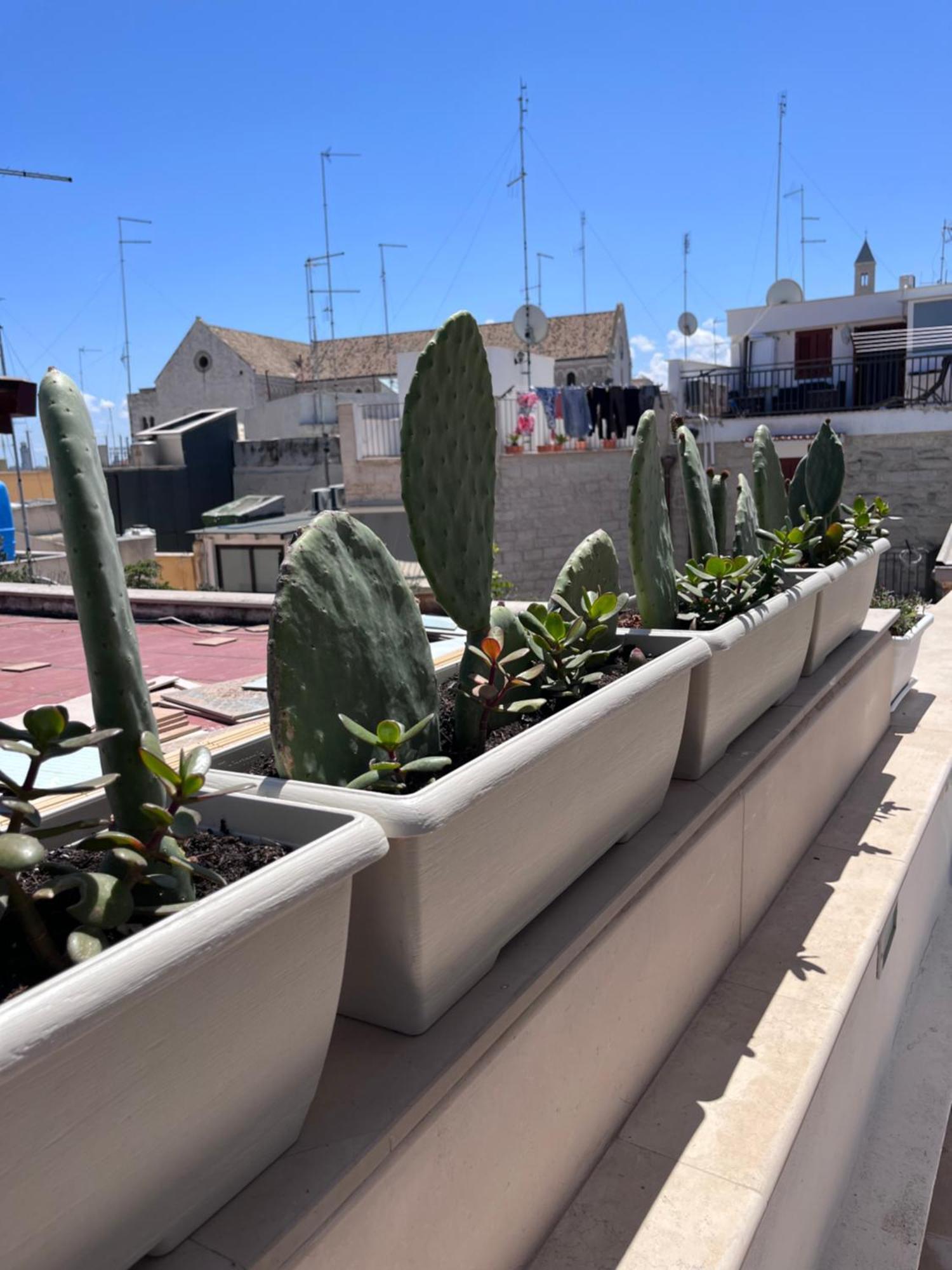 Vila Casa Franca - Terracielo A Bari Vecchia Exteriér fotografie